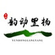 韵动罡杨