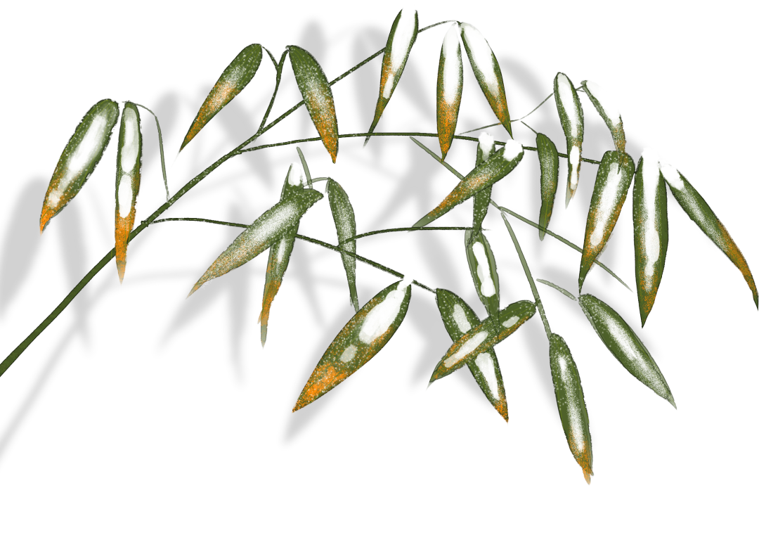 165949iw8efbxdu88g8rzi.png