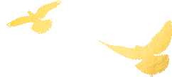 105227hrr5dpwznuuxn6s6.gif