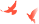 084637tiumipa6fu6d1app.png