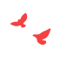 173055f8qo8qqlth0hntbb.gif