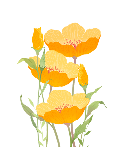 164001xccl2raa8qlpia8g.png