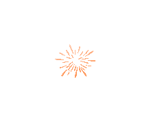 151632dd2325bzwwp2xwbi.gif