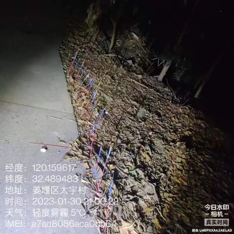 171038gqcqqhs0099udwuk.jpeg