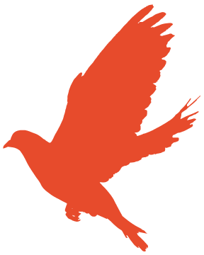 154721enn52n92tgjn6wj6.png
