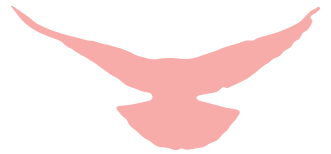 154721p8v41w251nw4q354.png