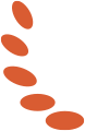093108u89rr898rhod0zhz.png