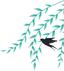 134307vqdrqm4qsnaqq305.png