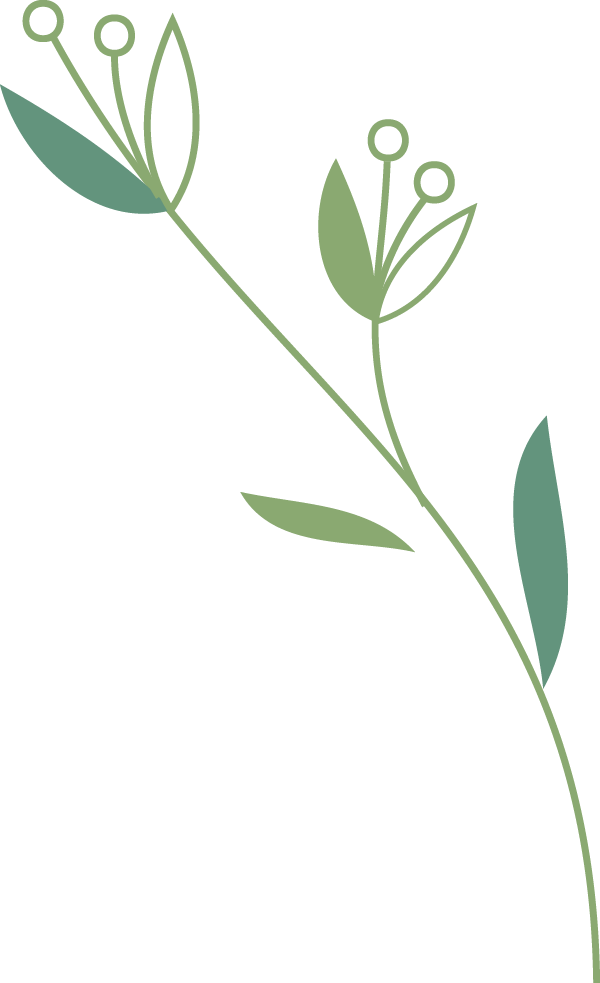 173526nn797graze9naz04.png