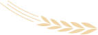 151921ud9kzgs551kbk855.png
