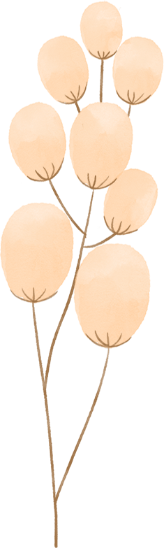180307flpdbr4bt33zs3h3.png