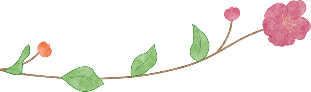 091202olxslnvs9px2ljlz.png