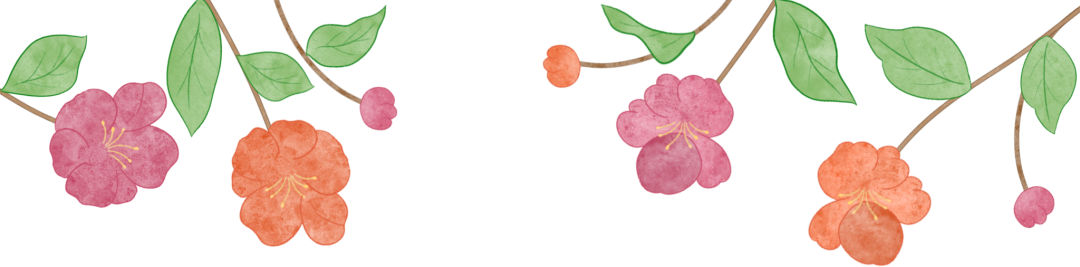 091204a00n3zls3l39zon3.png