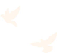 164515opaaijxtgjkzhryt.gif