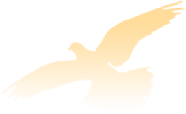 170711vfha881fkjafno9w.png