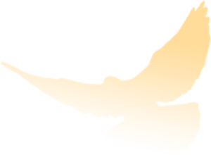 170711umxlmj1zdymj7xdl.png