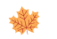 100107byq7tc5itky4zqy4.gif