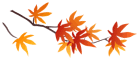 100209jtjz0fsjpxmgapvf.gif