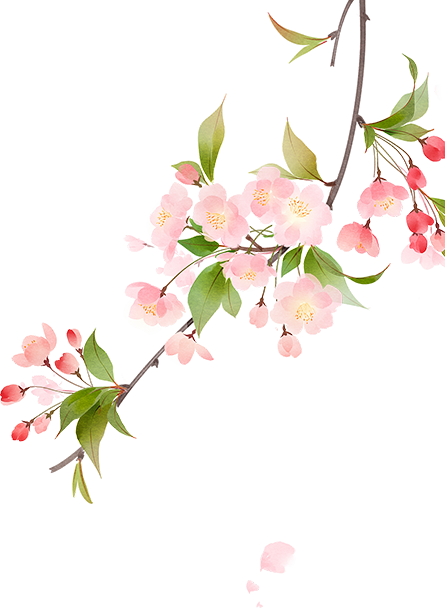163909a88e6zee1ss33hpj.png