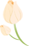 165825ff84fc2737me76pj.png