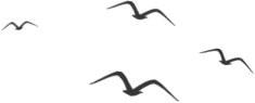 165920yuyhqywyuxycqzxk.png