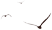 103518mr7xr9tys5r2zrrz.png
