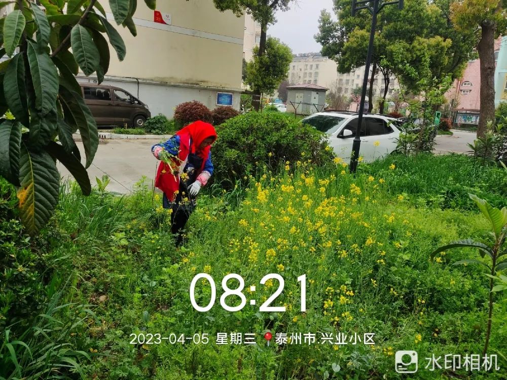 111410c8nw843twupnox8n.jpeg