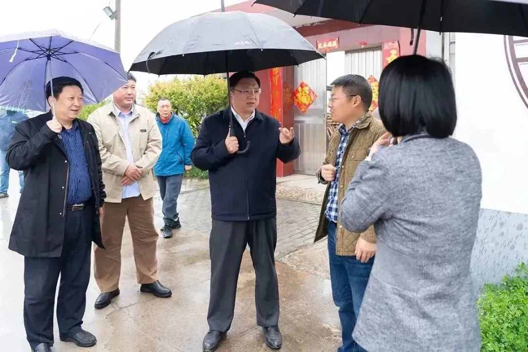 102643pb28huzuong2vd5n.jpeg