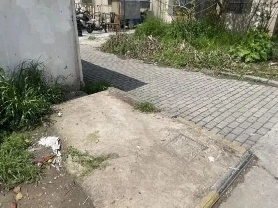 104024fc5c9xv5nx595znd.jpeg