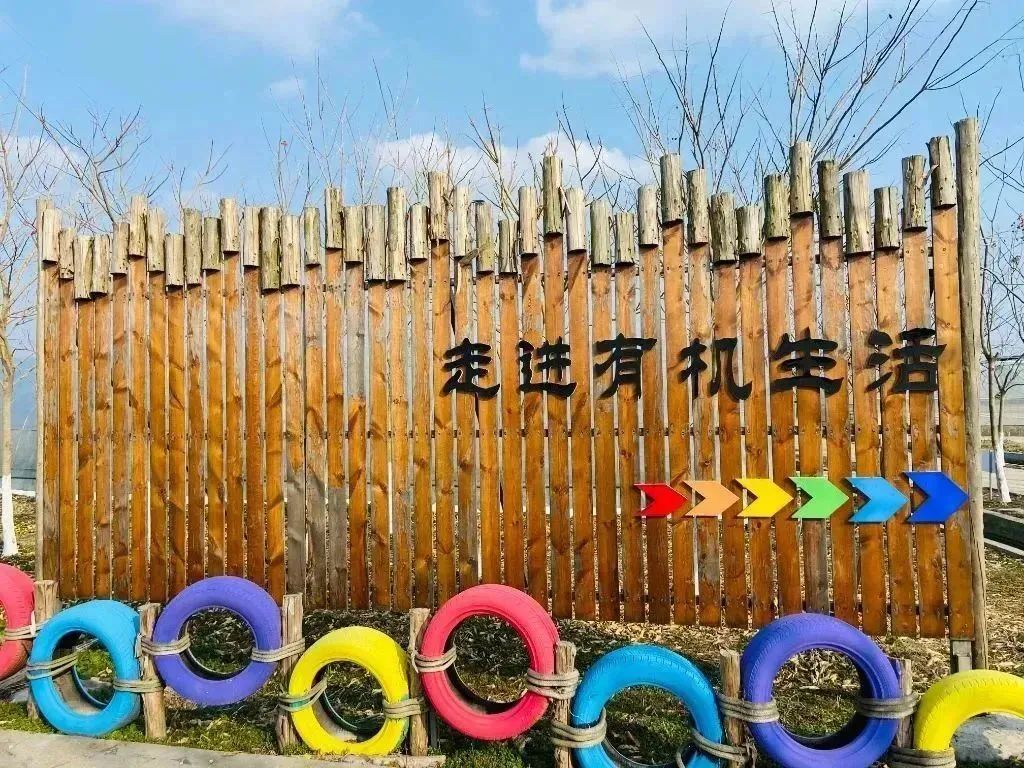 105454iu9rxnlkpv9p9erz.jpeg