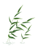 105455hjzer98r7w9999k0.gif