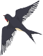 105456fwko4po5x5gz55g0.png