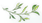 171141b84bo4bbpot2jzbb.png