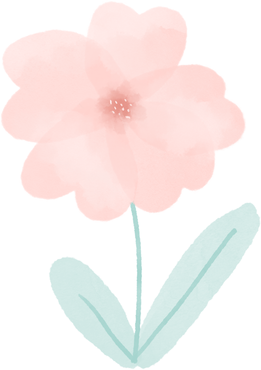 172700jchfhsgfaus9scc9.png