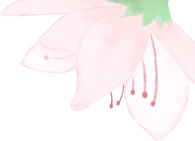 170203u77a29979j9xjr92.png