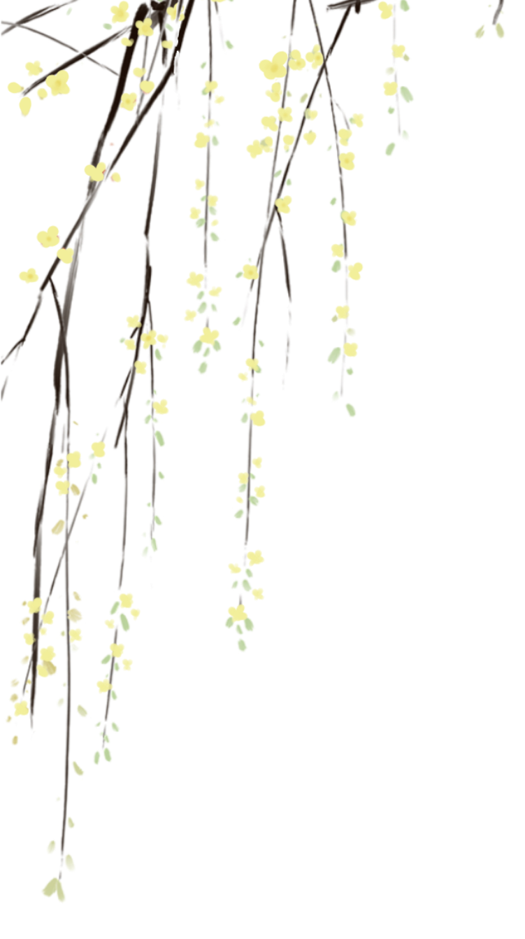171753lppg261xa896glhl.png