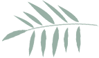172128uq9zmm7mf7cmus7f.png