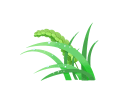 090147r464uq6t055s0juj.gif