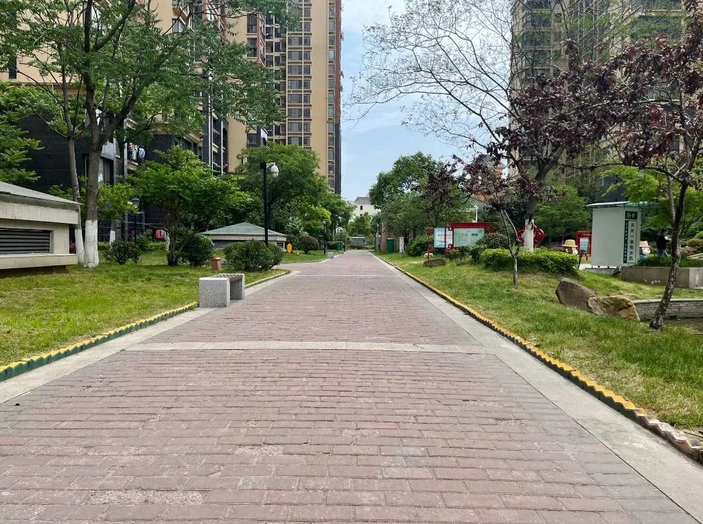 090649miup42seezc47414.jpeg