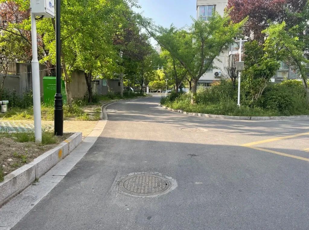 090705f49226iiaazvia6l.jpeg
