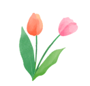 172806lw81yysmqbv17i4e.gif