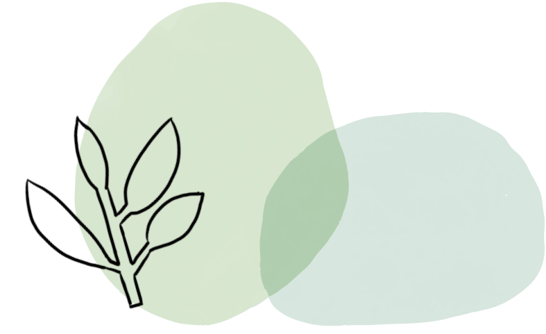 095416vkcdgk6ovigagml6.png