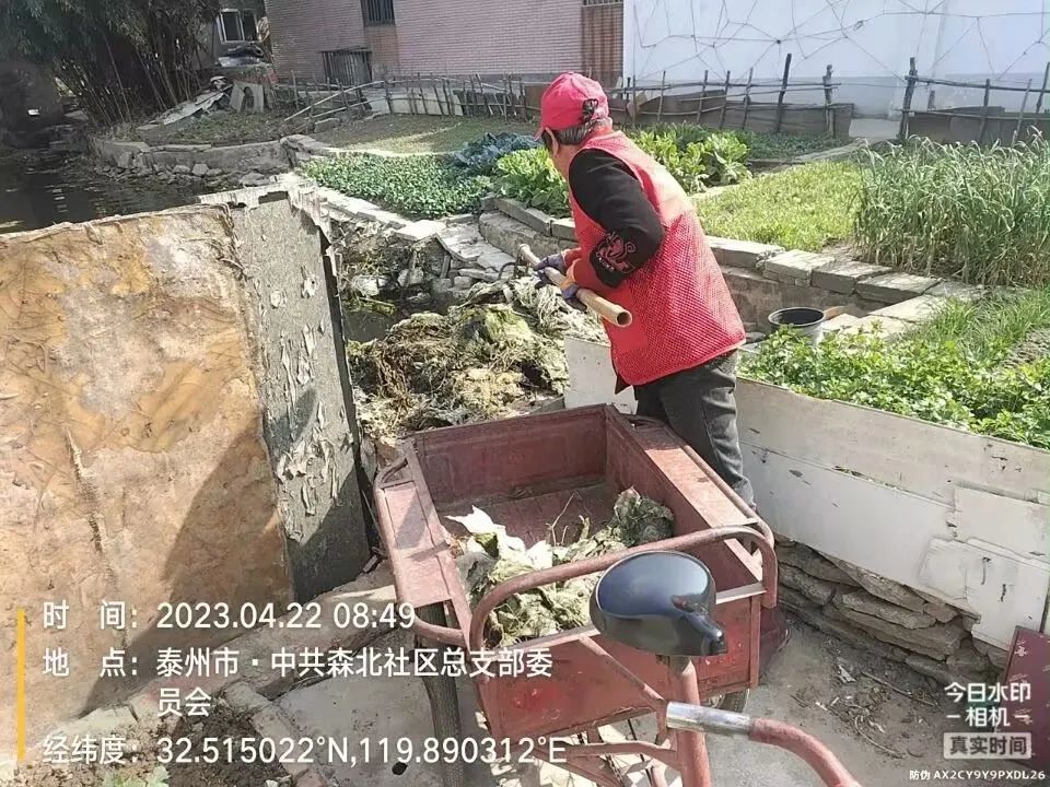 090249o2mh4ycpdy5a32fz.jpeg