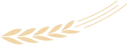 133114p558jf6n7w9559kw.png