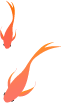 165155awzqy52qqahhq0hq.png