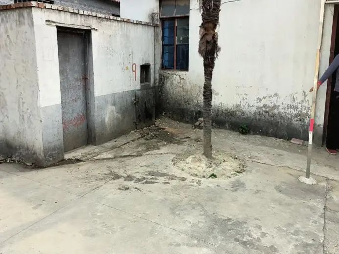 085852d55bixadkxprdrp5.jpeg