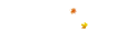 084756ootz06z0pzy0sc1e.gif