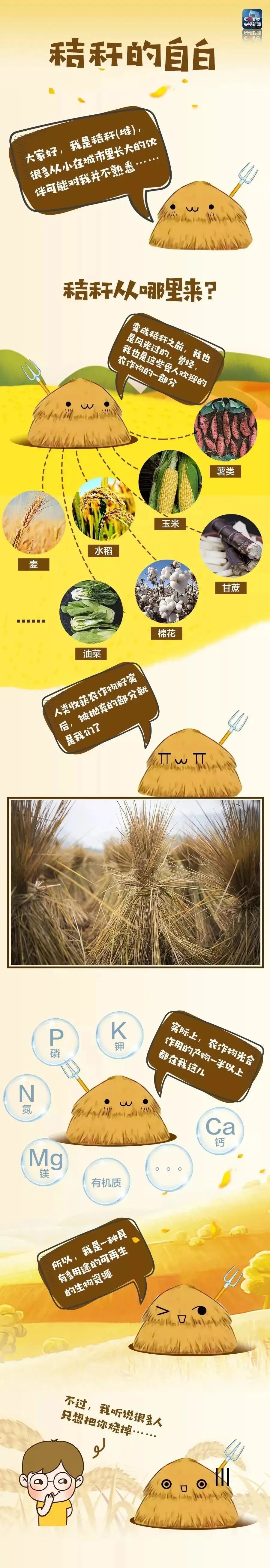 091646s40nkn5t9nahktmk.jpeg