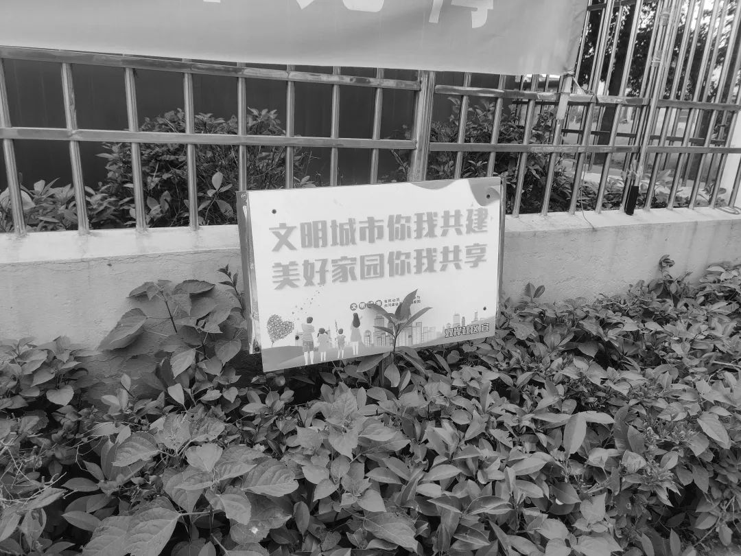 092355au077r0u33dj0uq8.jpeg