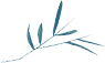 103333ra5jba6xh0q9vjca.png